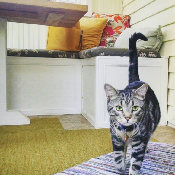 ✌️DirtySweetVintage✌️ - Picture 4 of 6